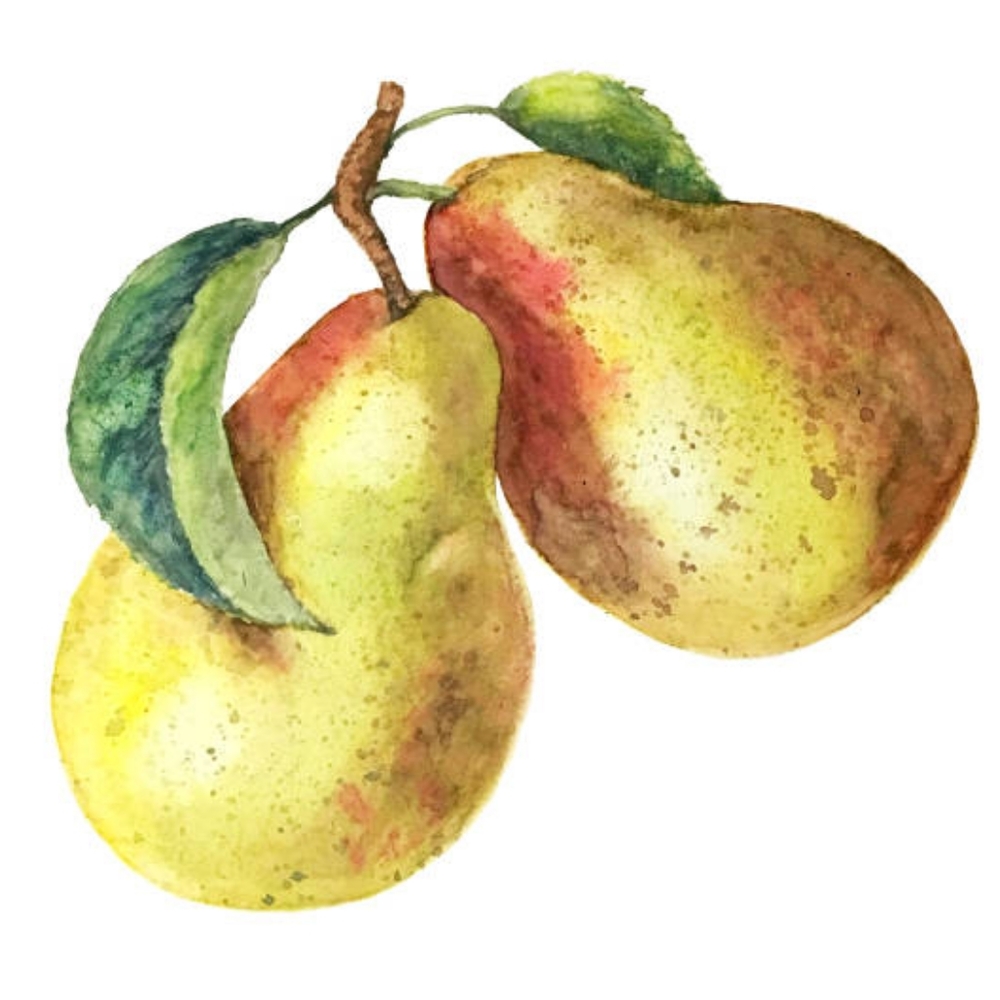 Meet your Posher, The Fresh Pear